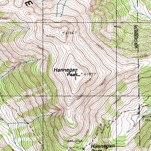 Topographic Map of Hannegan Peak, WA