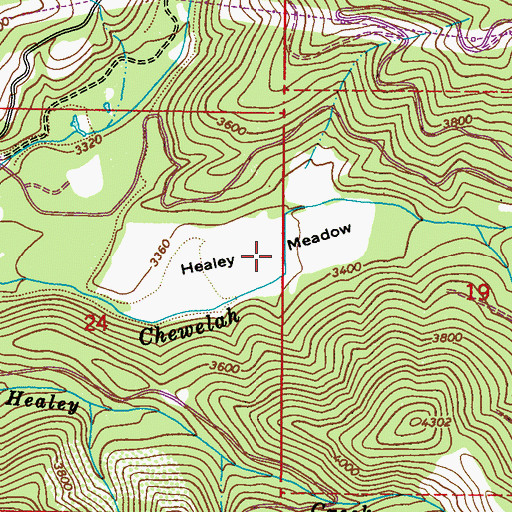 Topographic Map of Healey Meadow, WA