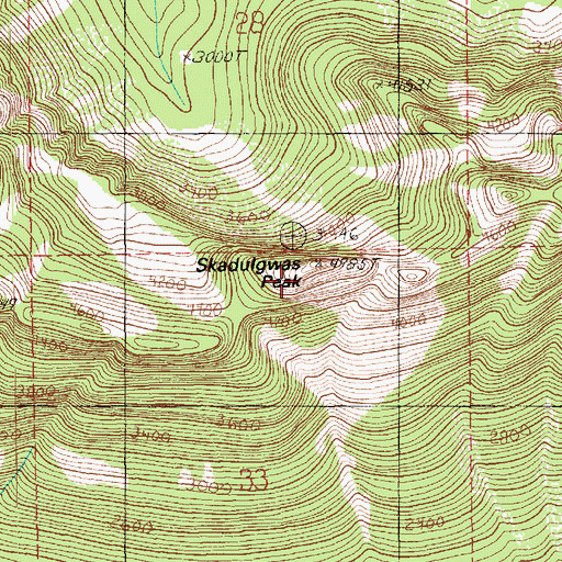 Topographic Map of Skadulgwas Peak, WA