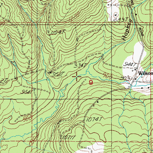 Topographic Map of Hopkey Creek, WA