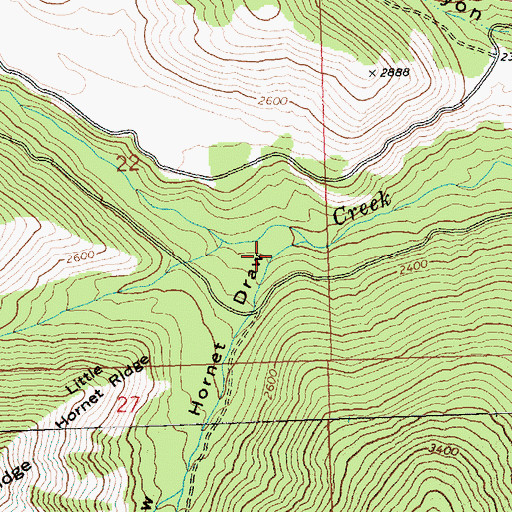 Topographic Map of Hornet Draw, WA