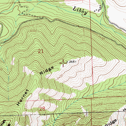 Topographic Map of Hornet Ridge, WA