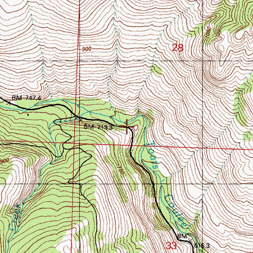 Topographic Map of Huckleberry Creek, WA