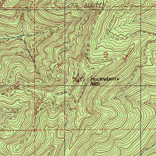 Topographic Map of Huckleberry Mountain, WA