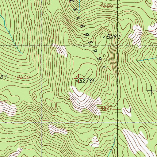 Topographic Map of Huckleberry Ridge, WA