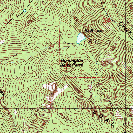 Topographic Map of Huntington Berry Patch, WA