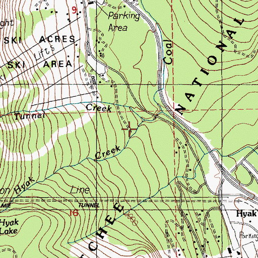 Topographic Map of Hyak Creek, WA