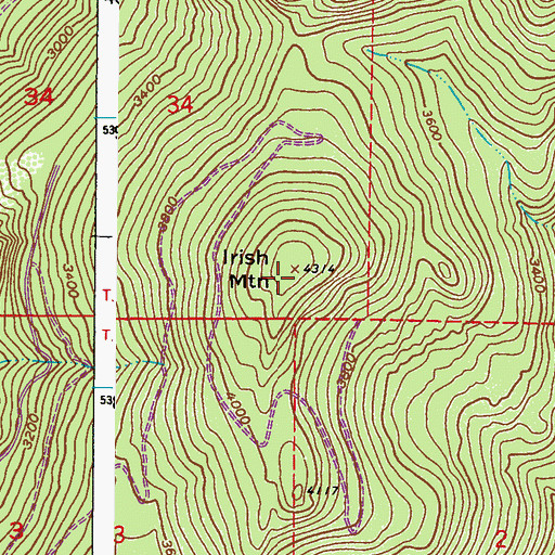 Topographic Map of Irish Mountain, WA