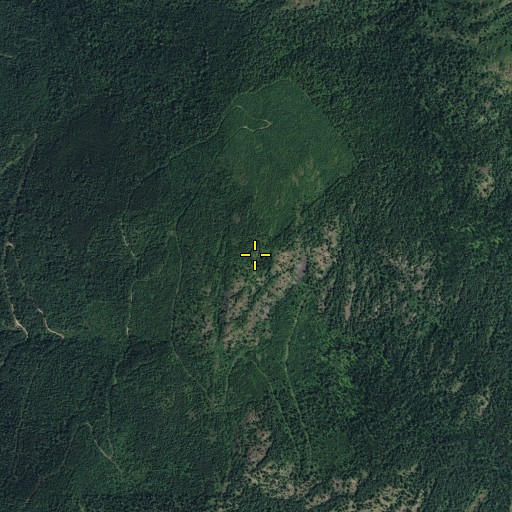 Aerial/Satellite Image of Irish Mountain, WA