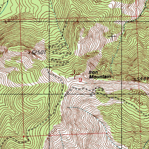 Topographic Map of Iron Mountain, WA