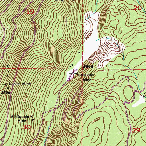 Topographic Map of Iroquois Mine, WA