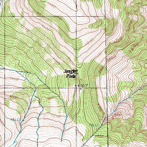 Topographic Map of Jasper Pass, WA