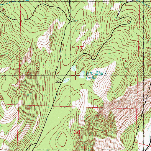Topographic Map of Jim Black Lake, WA