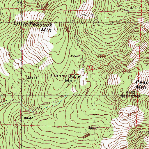 Topographic Map of Johnny Boy Mine, WA