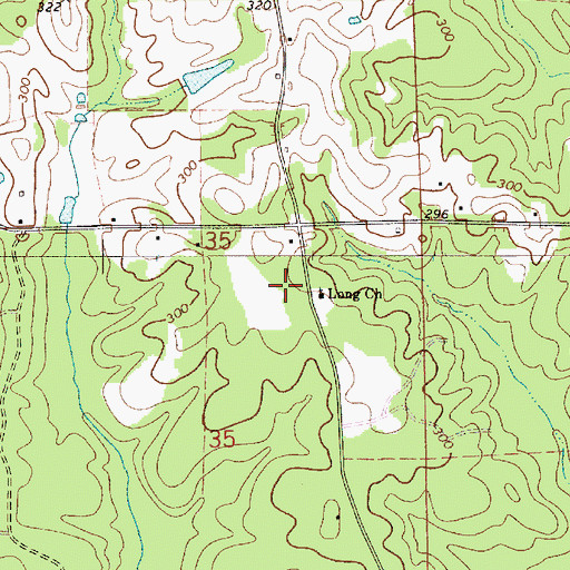 Topographic Map of Long Church, AL