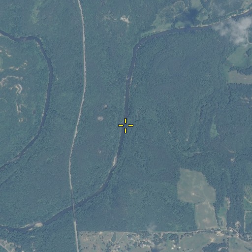 Aerial/Satellite Image of Longs Branch, AL