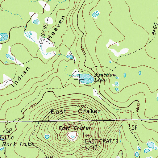 Topographic Map of Junction Lake, WA