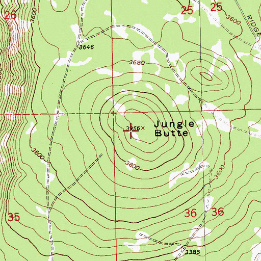 Topographic Map of Jungle Butte, WA