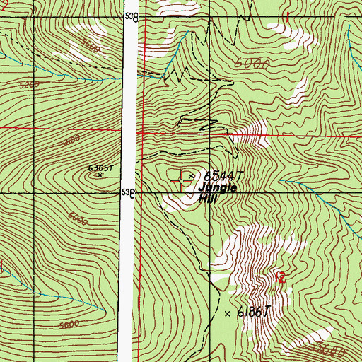 Topographic Map of Jungle Hill, WA