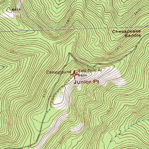 Topographic Map of Junior Point, WA