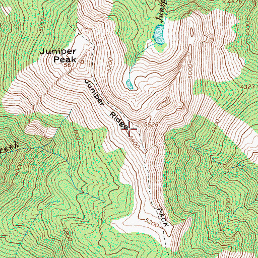 Topographic Map of Juniper Ridge, WA