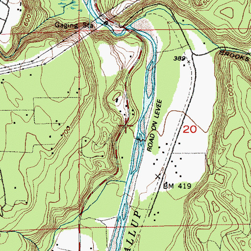 Topographic Map of Kapowsin Creek, WA