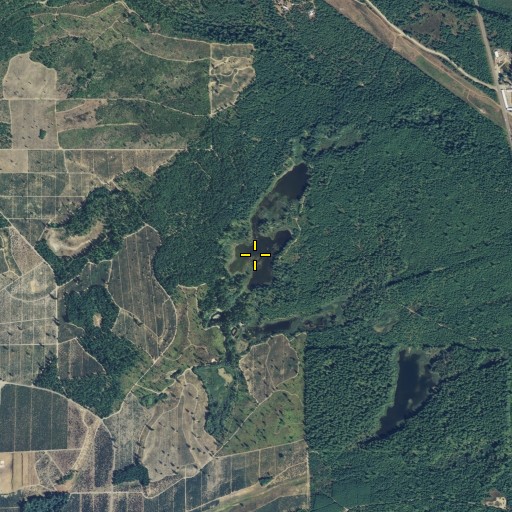 Aerial/Satellite Image of Kent Lake, WA