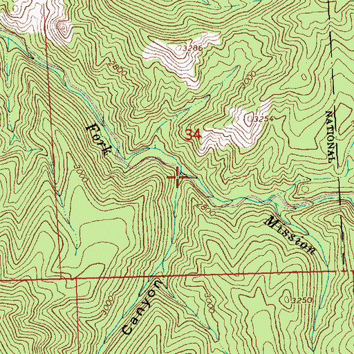 Topographic Map of King Canyon, WA