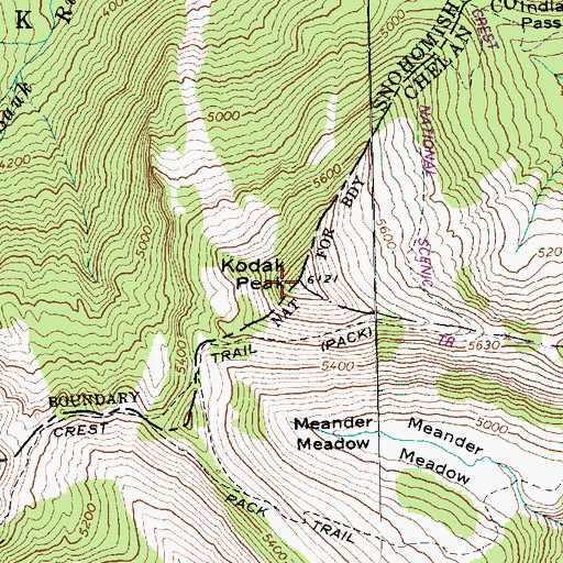 Topographic Map of Kodak Peak, WA