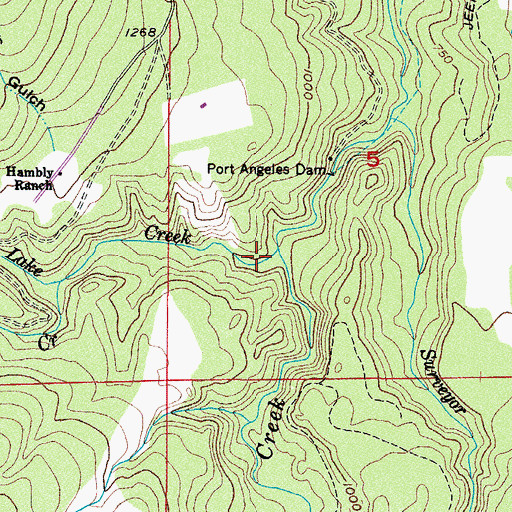 Topographic Map of Lake Creek, WA