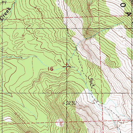 Topographic Map of Lake Michael Trail, WA