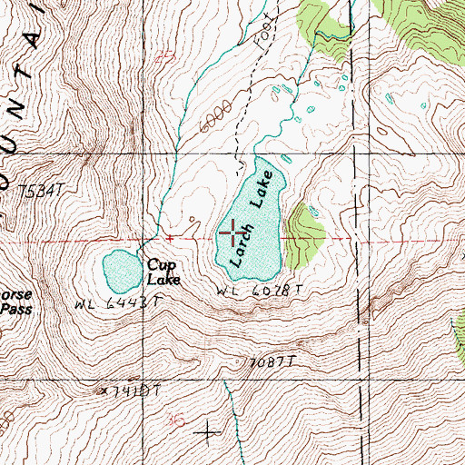Topographic Map of Larch Lake, WA