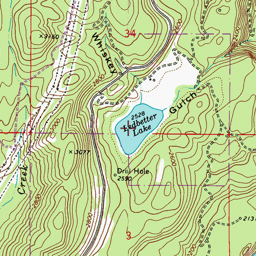 Topographic Map of Ledbetter Lake, WA