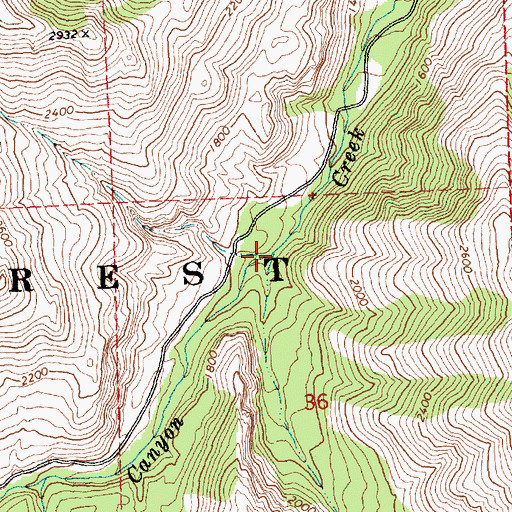 Topographic Map of Left Fork Black Canyon Creek, WA