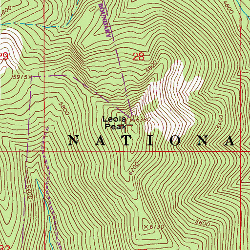 Topographic Map of Leola Peak, WA