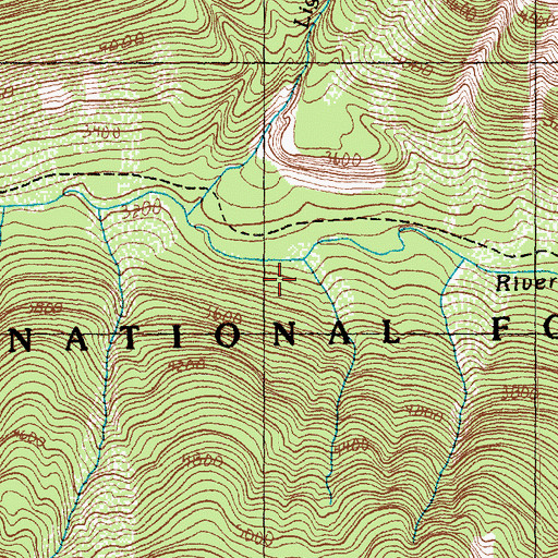 Topographic Map of Lightning Creek, WA