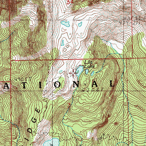 Topographic Map of Lila Lake, WA