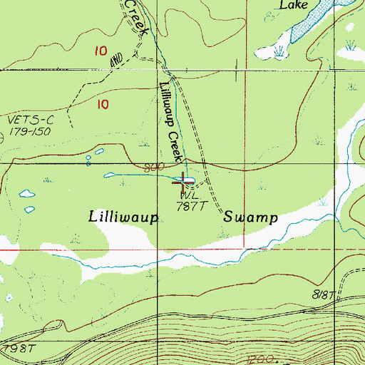 Topographic Map of Lilliwaup Swamp, WA