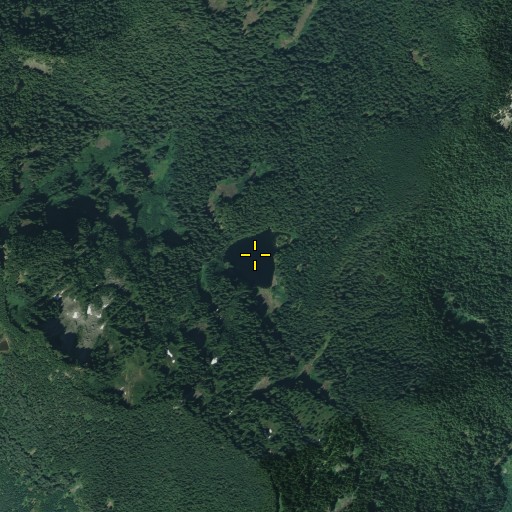 Aerial/Satellite Image of Lily Lake, WA