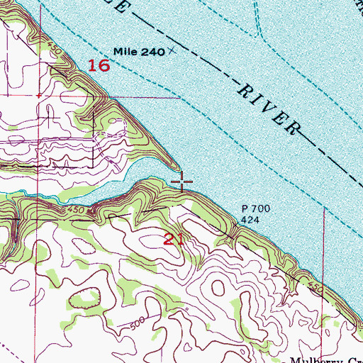 Topographic Map of Malone Creek, AL