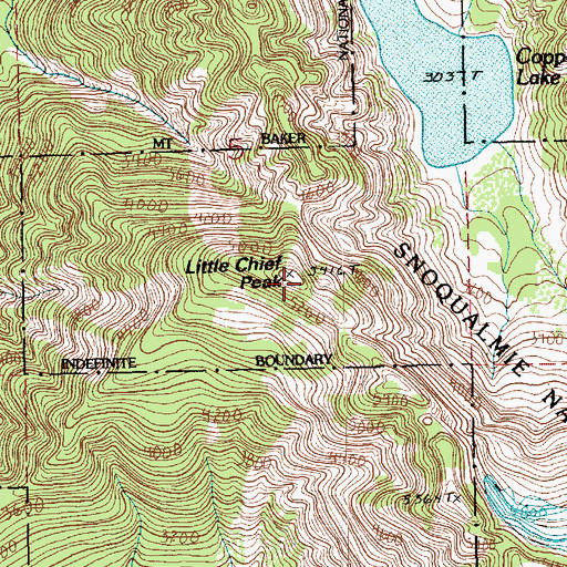 Topographic Map of Little Chief Peak, WA