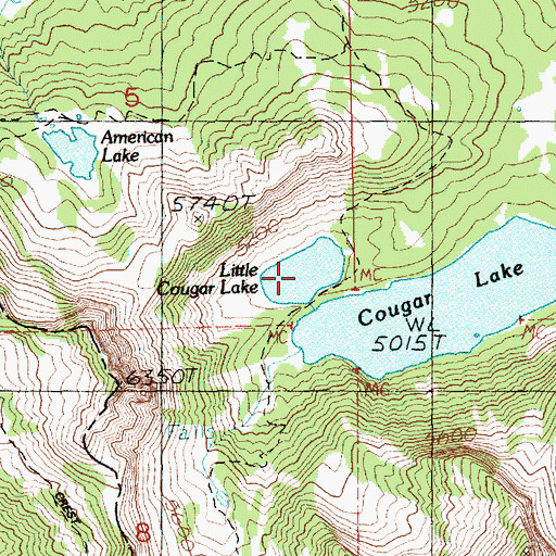 Topographic Map of Little Cougar Lake, WA