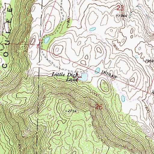 Topographic Map of Little Dick Lake, WA