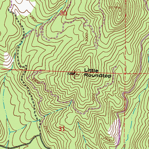 Topographic Map of Little Roundtop, WA