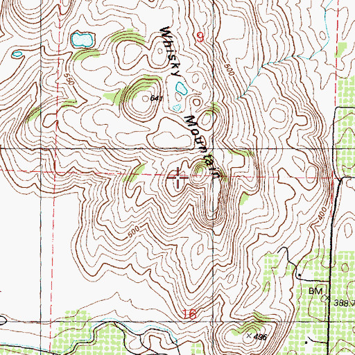 Topographic Map of Little Whisky Mountain, WA
