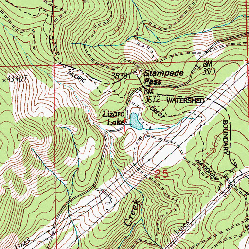 Topographic Map of Lizard Lake, WA