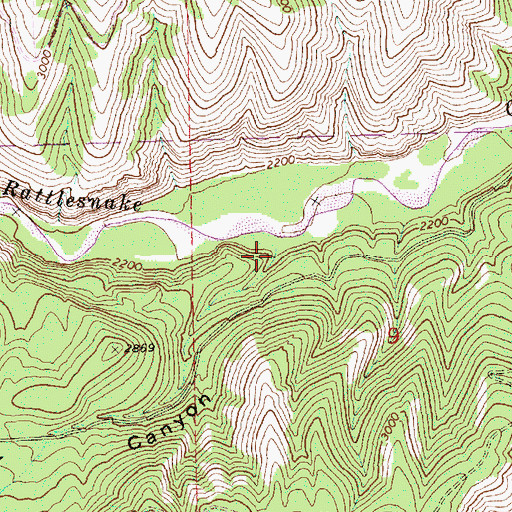 Topographic Map of Logger Canyon, WA