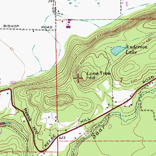 Topographic Map of Lone Tree Hill, WA