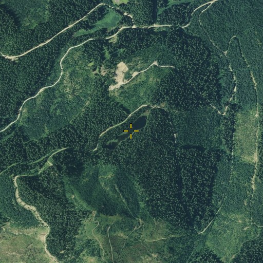Aerial/Satellite Image of Long Lake, WA