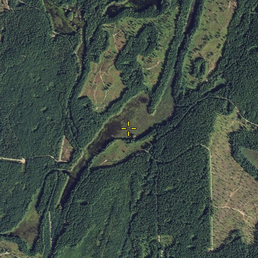 Aerial/Satellite Image of Long Marsh, WA